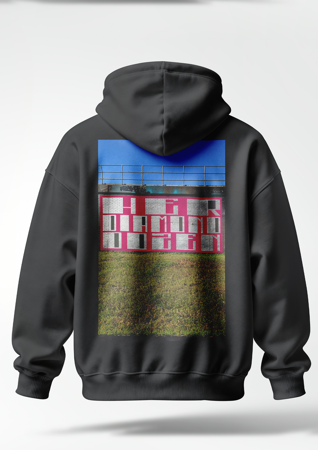HDD BLOCKBUSTER WALL HOODIE